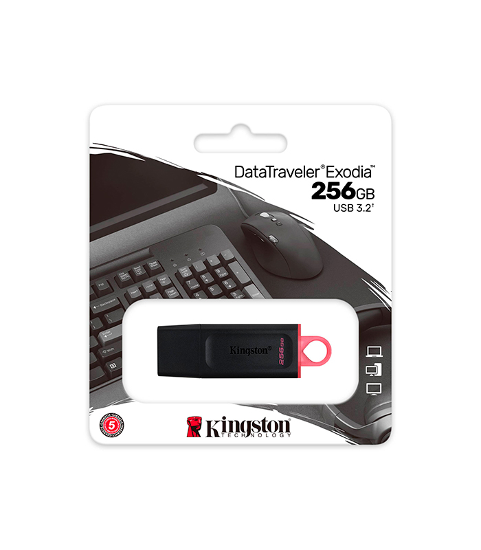 DTX 256GB MEMORIA KINGSTON EXODIA USB 3.2 / 256GB / BLACK - Imagen 1